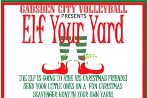 Elf Your Yard Volleyball Fundraiser