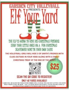 Elf Your Yard Volleyball Fundraiser